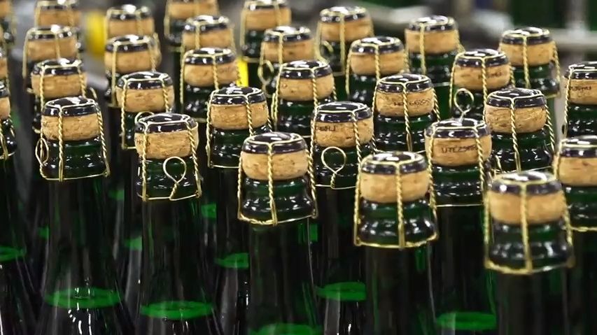 Značka Bohemia Sekt má 50 let, ročně prodá miliony lahví sektu